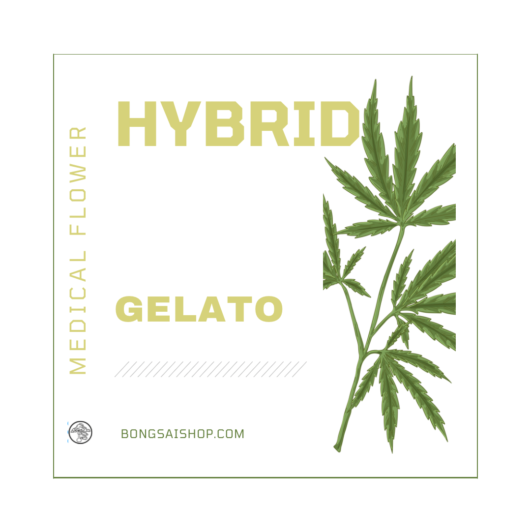 Gelato - Medical Grade Cannabis