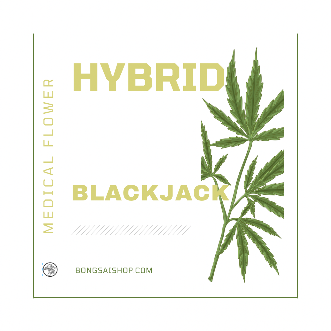Black jack - Medical Grade Cannabis